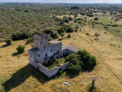 Circondata da enormi distese di campi, alcuni dei quali colorati dal verde intenso degli ulivi..(foto di Francesco Cocco-fkdrone)